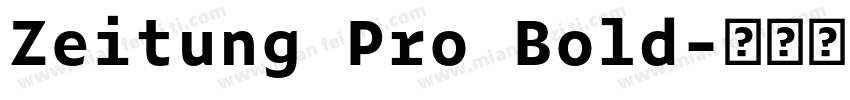 Zeitung Pro Bold字体转换